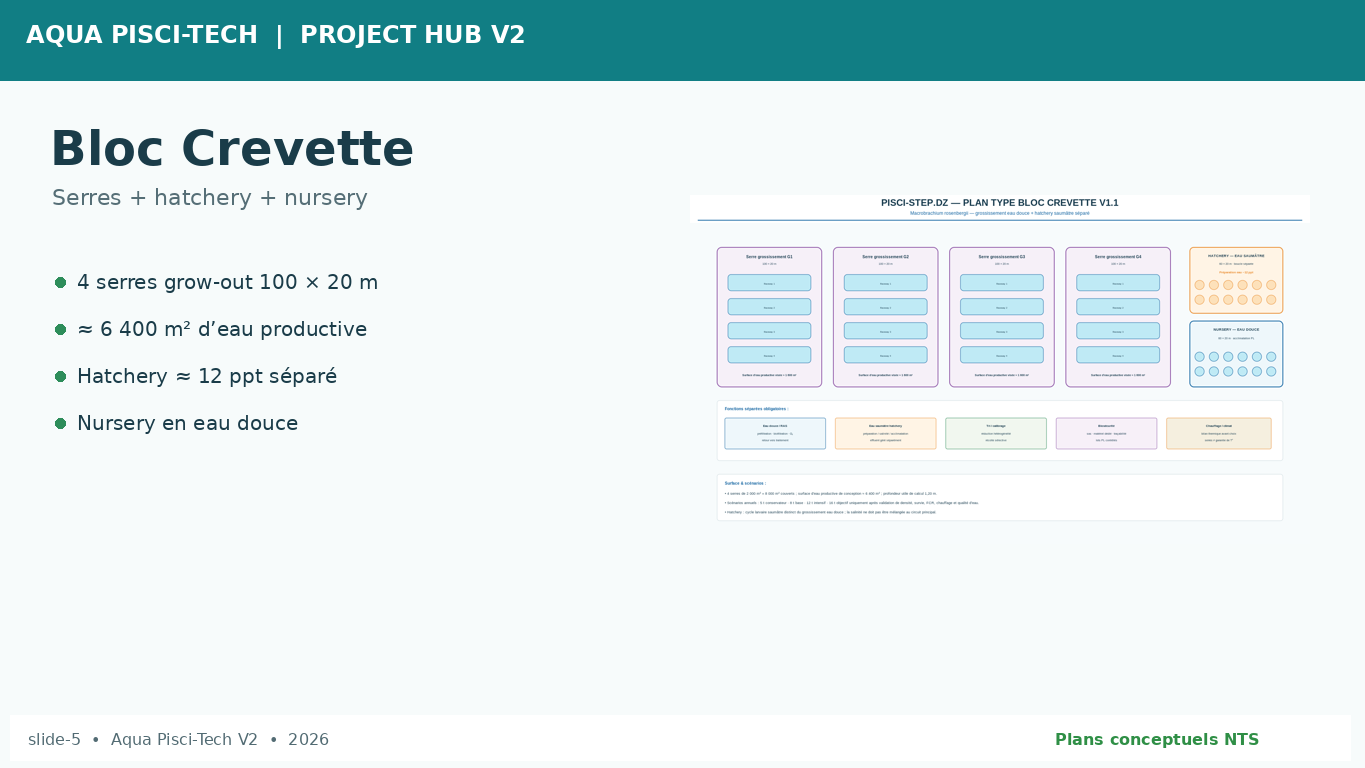 Slide 5 pitch